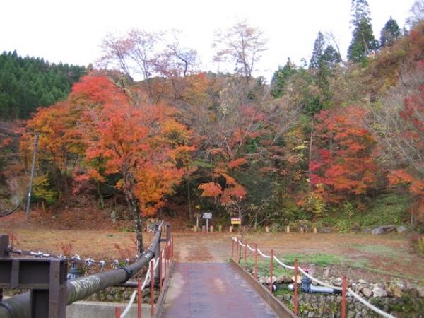ひぜん湯登山口の紅葉は毎年綺麗です。